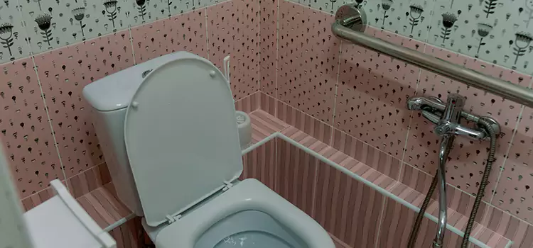 Meeting Diverse Needs With Accessible Restroom Solutions in Powell River, BC